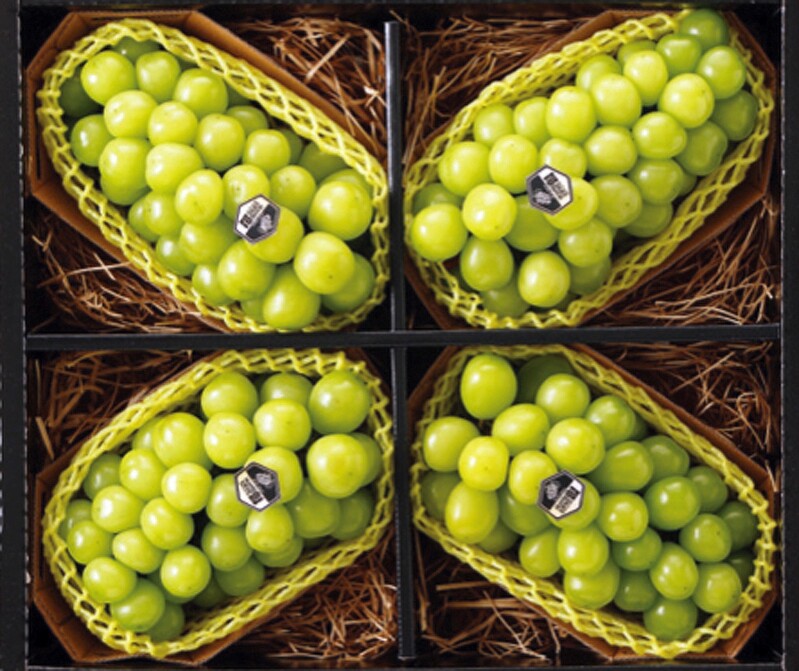 거봉 밀어낸 샤인머스캣…재배면적 늘고 설 과일 선물세트로도 인기