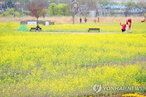 금호강 '하중도' 새이름 지어주세요…시민 선호도 조사