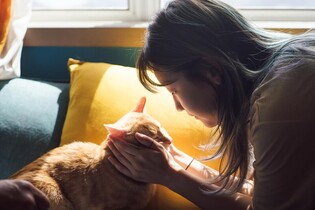 Cat·penguins perform as scene-stealers in S. Korean movies