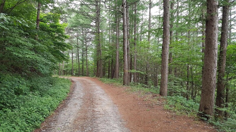 충남도, 중장기 산림정책 비전에 올해 2천732억원 투입