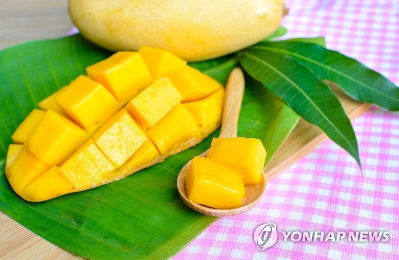 또다시 찾아온 '집콕' 명절…"갈비찜 대신 토마호크 찾았다"