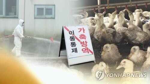 S. Korea reports additional avian influenza case