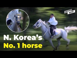 Kim Jong-un gallops through his mansion on his gorgeous white horse