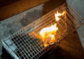 고양이 산 채로 불태우는 영상 게시돼…동물권단체, 경찰 고발