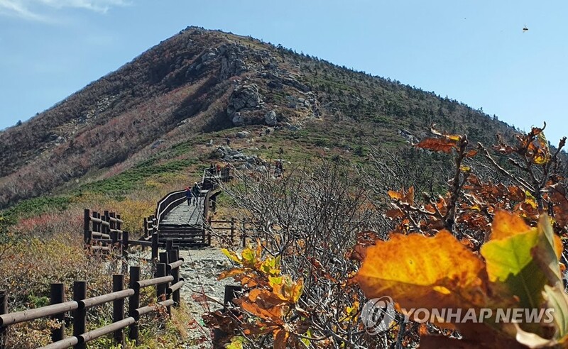 설악산 마지막 지게꾼 노동착취 논란에 국립공원사무소 '난감'