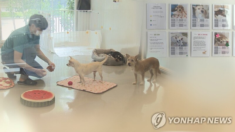 성남시 반려동물 돌봄센터 개소…보호·입양까지 한번에