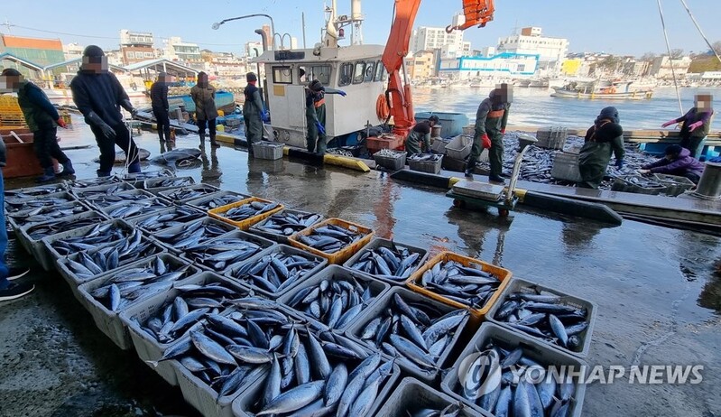 S. Korea's fisheries output rebounds in 2021