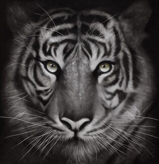 Tiger-themed exhibition of 38 artists 'Exhibition Ho Ryeong_Waking Up the Tiger'