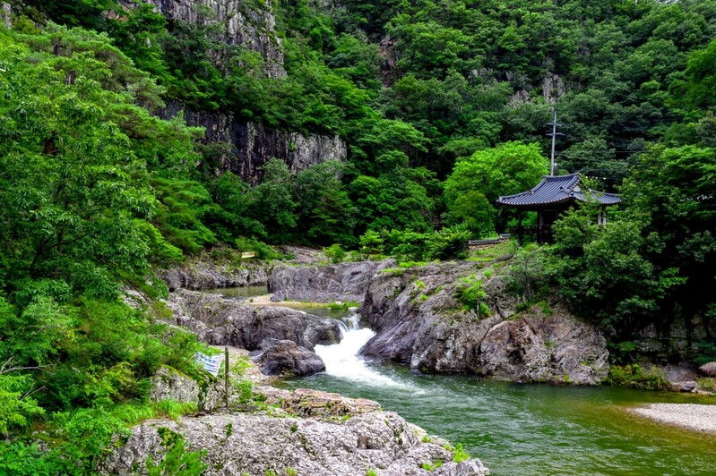 영덕 옥계 침수정 일원 명승 지정…풍광 수려, 희귀식물 자생