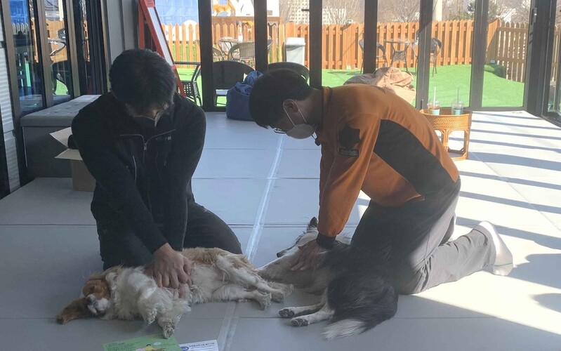 반려동물 응급상황 생기면…영동소방서 심폐소생술 교육