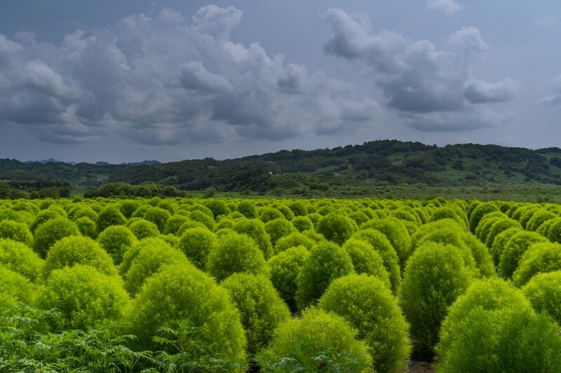 이천 도립리·연천 삼곶리·가평 백둔리 '생태관광거점' 조성