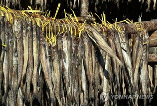 [Hallyupedia] Hwangtae (황태)