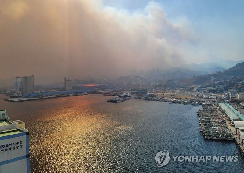 문화재청 "산불로 동해 봉수대 피해…국보 '장양수 홍패' 이송"