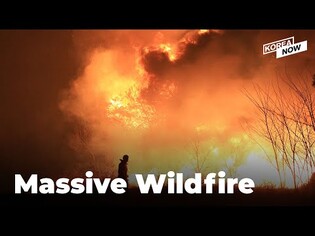 Massive wildfire quickly spreads through eastern coastal areas, thousands evacuate