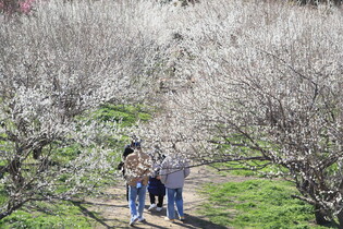 [K-Geography] Spring around corner