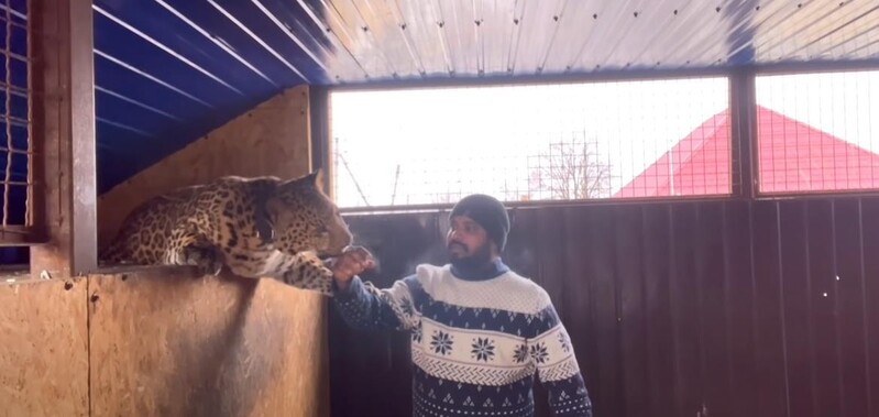 [우크라 침공] '탈출 거부' 인도 의사 "반려동물 재규어 두고 못 떠나"