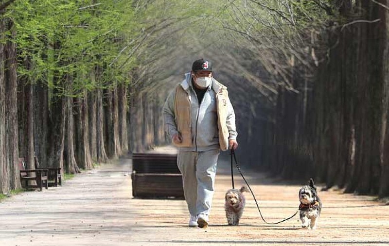 '반려견과 함께 여행' 전남도, 산책 관광코스 3곳 추천