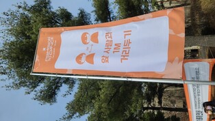 Social distancing at BTS concert in Seoul