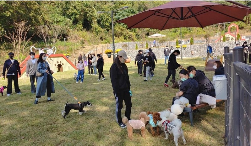 목포시, 부주산 반려동물 놀이터 재개장