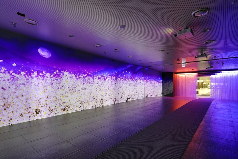 진달래꽃·소나기…화려한 영상으로 만나는 문학 속 풍경