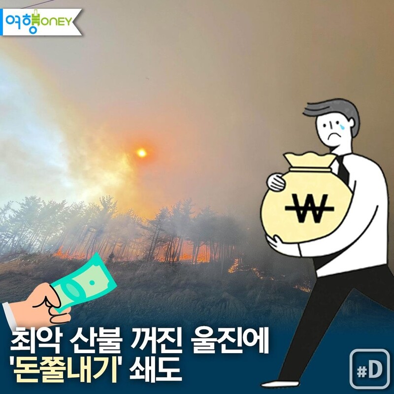 [여행honey] 최악 산불 꺼진 울진에 '돈쭐내기' 쇄도