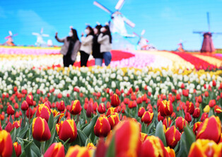 [K-Geography]  Tulip Empire