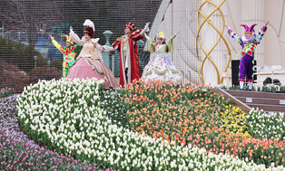 [K-Geography]  Everland Tulip World