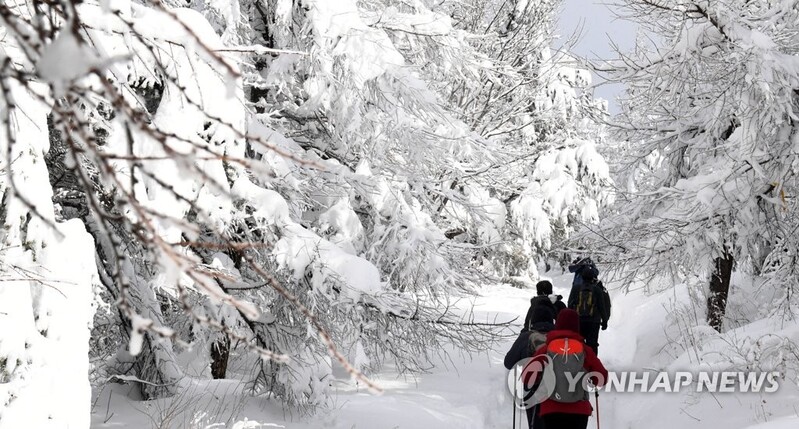 흐린 날씨·코로나19 확산세에 전국 주요 관광지 '한산'