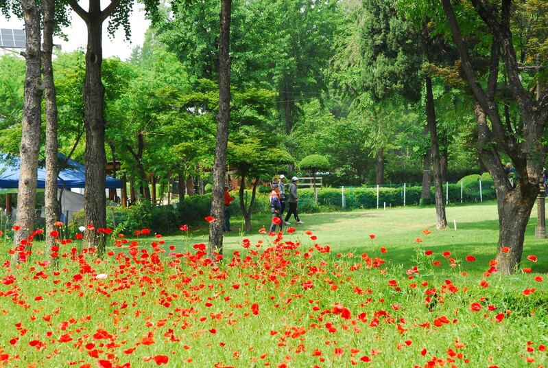 [게시판] 잠실파크골프장 4월 1일 재개장