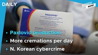 Transition team discusses domestic production of Paxlovid / Crematories to run more often