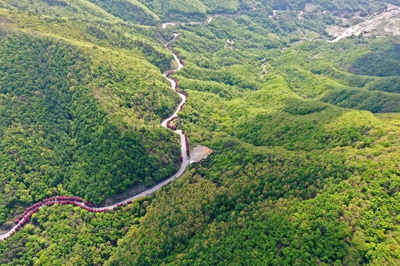 산청군, 밤머리재 생태·관광자원화 박차…생태축 복원 추진