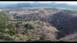 Jeju World Natural Heritage High-resolution video released… "Available for everyone to use"