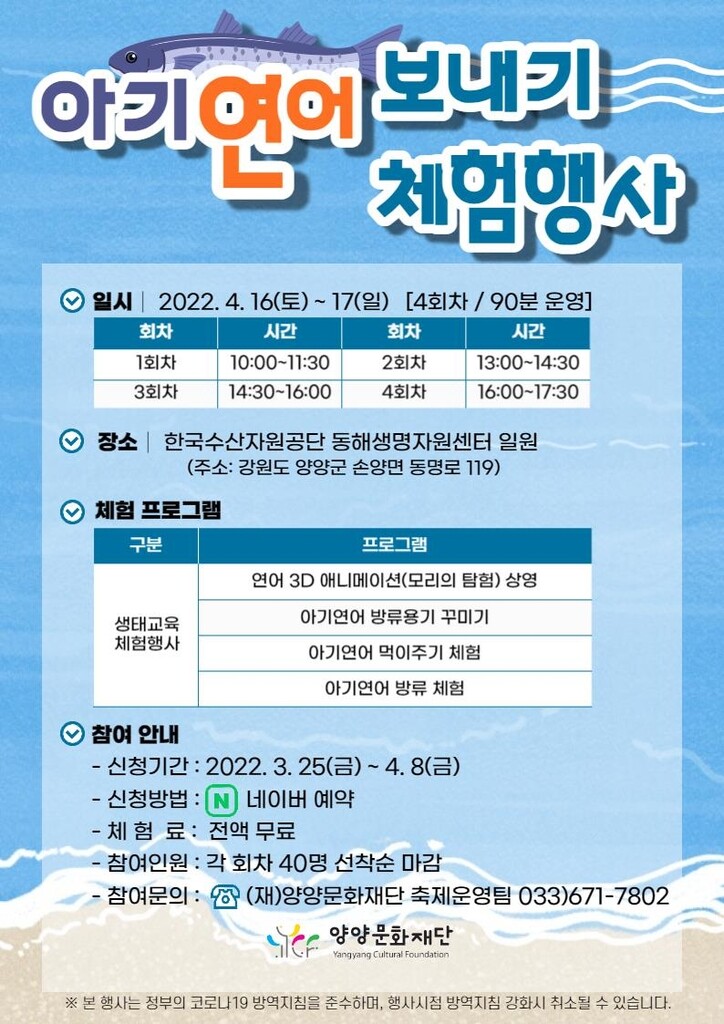 양양문화재단, 아기연어 보내기 체험행사 개최