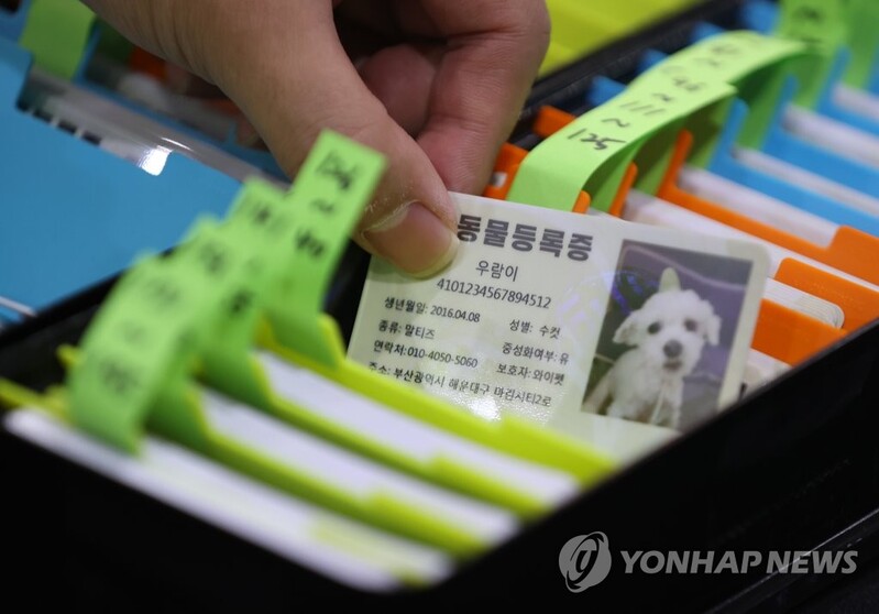 "반려동물 유기·유실 방지 위해 등록제도 다변화해야"
