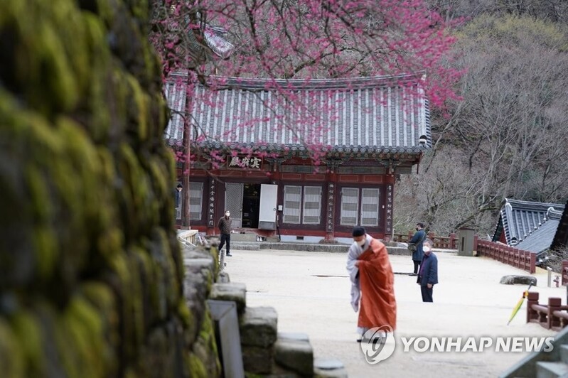물기 머금은 봄기운…강풍·비에 전국 주요 관광지 '한산'