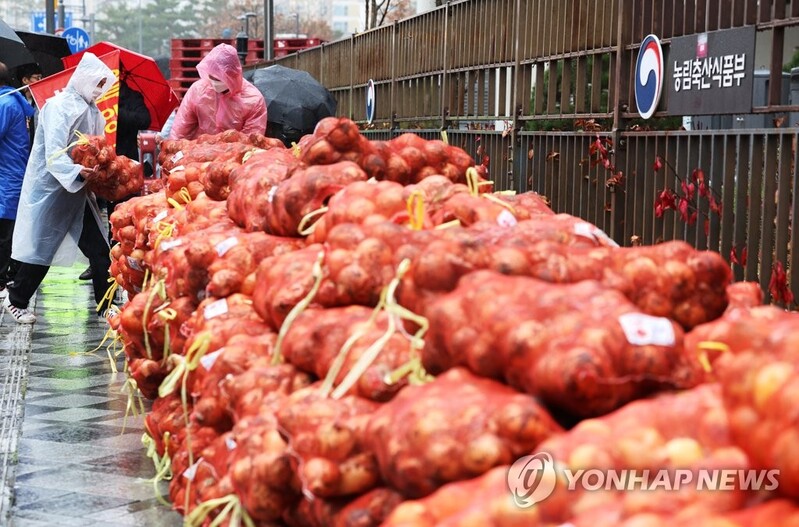 '양팟값 추가 하락 막아라'…정부, 출하연기 물량 확대