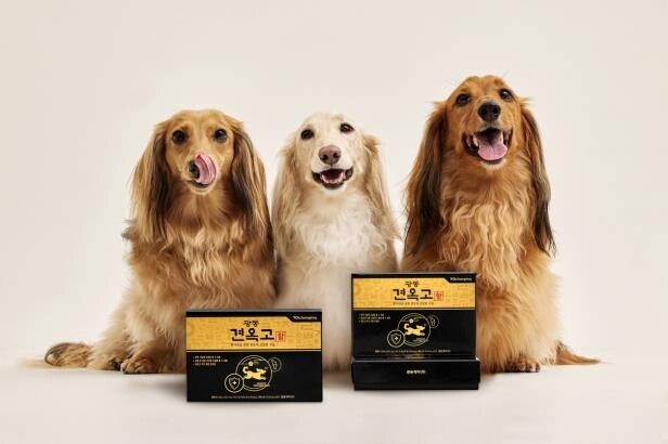 광동제약, 반려견 영양제 사업 진출…'견(犬)옥고' 출시