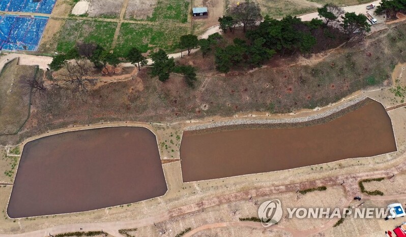 3년만에 다시 모습 드러낸 경주 월성 해자…4월 중순 일반공개