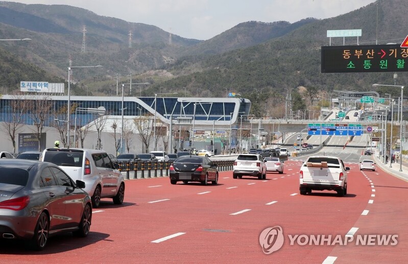 벚꽃 만개 주말 부산 나들이 명소 "예상보단 차량소통 원활"