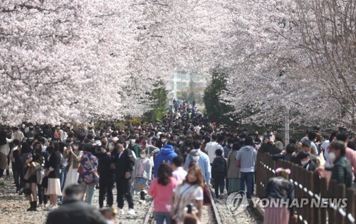 청명한 날씨 속 상춘객 봄꽃에 홀리다…전국 곳곳 인파