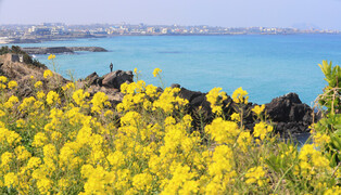[K-Geography] Enjoying beach springtime