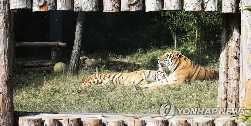 '봄철 관광객 맞이'…전북투어패스 단독권 온라인 출시