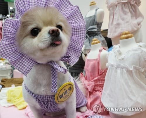 개의 귀여운 표정 비밀은…"얼굴 근육, 늑대와 다르게 진화"