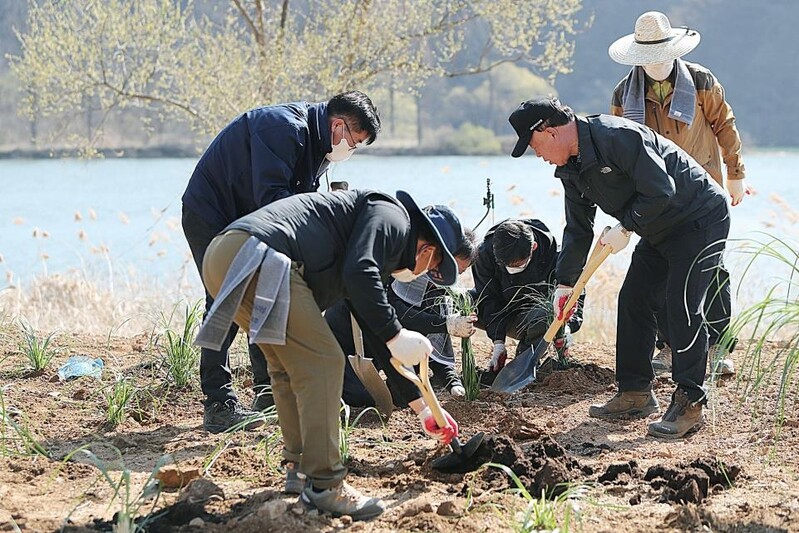 가평군 '코로나19 힐링 명소' 자라섬 꽃 정원 내달 개장
