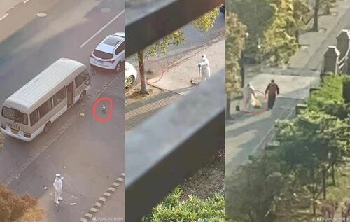 中서 '주인 격리' 반려견 도살 논란…당국 "주인과 자가격리"