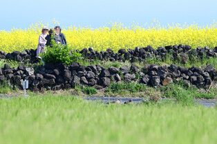 [K-Geography] Season of green barley