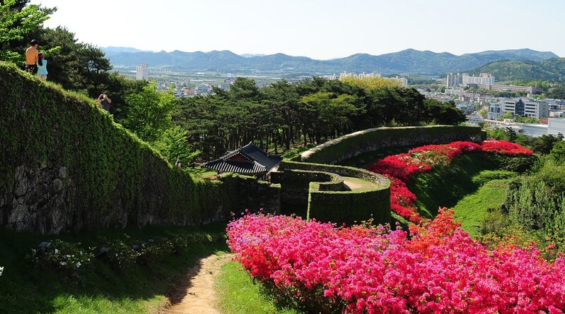 전북도, 봄날에 더 걷기 좋은 '1000리길' 11개 노선 선정