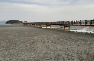 A trail to wander World Natural Heritage Sinan Mudflat is made