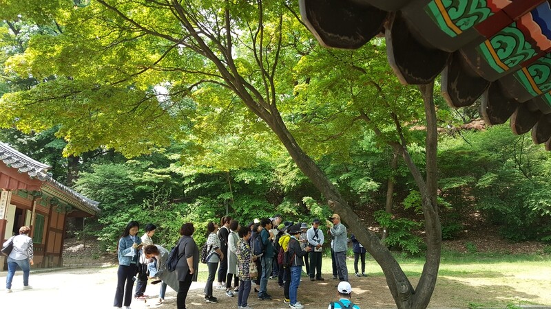 [문화소식] 창덕궁 그림 속 나무 답사