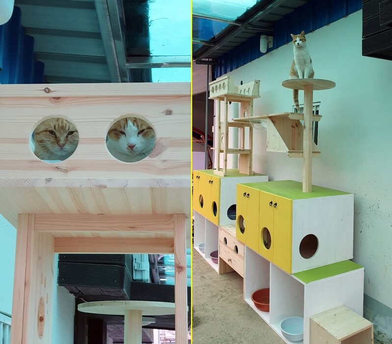 [픽! 홍성] 행정복지센터에 주민이 만든 길고양이 쉼터